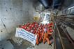 HS2 - TBM Sushila completes its 8.04 km excavation of Northolt tunnel