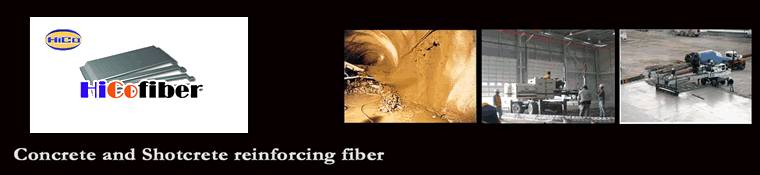 Click to view Hico website